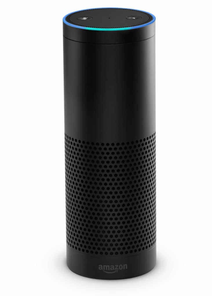 Amazon Echo, Alexa the Digital Assistant
